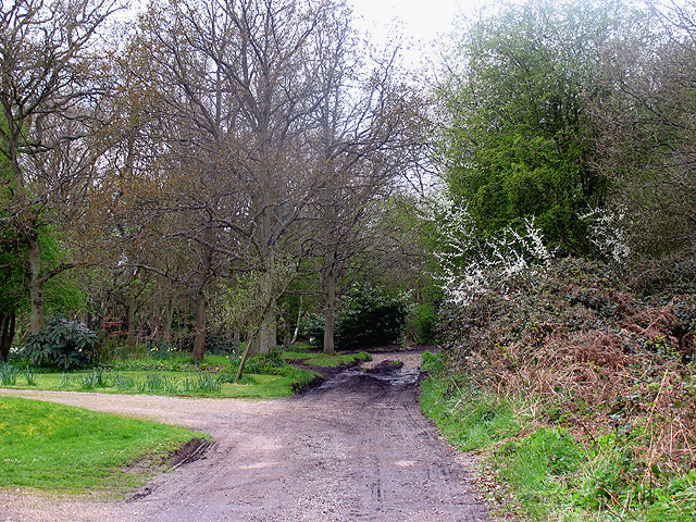 © Copyright Pam Brophy and licensed for reuse under this Creative Commons Licence.
