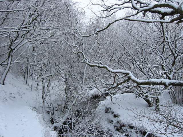 © Copyright Martin Rankin and licensed for reuse under this Creative Commons Licence.