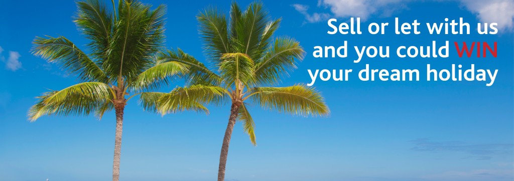 Win a dream holiday