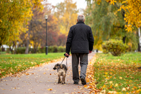 Labour’s house building targets and plans for 12 new towns.png