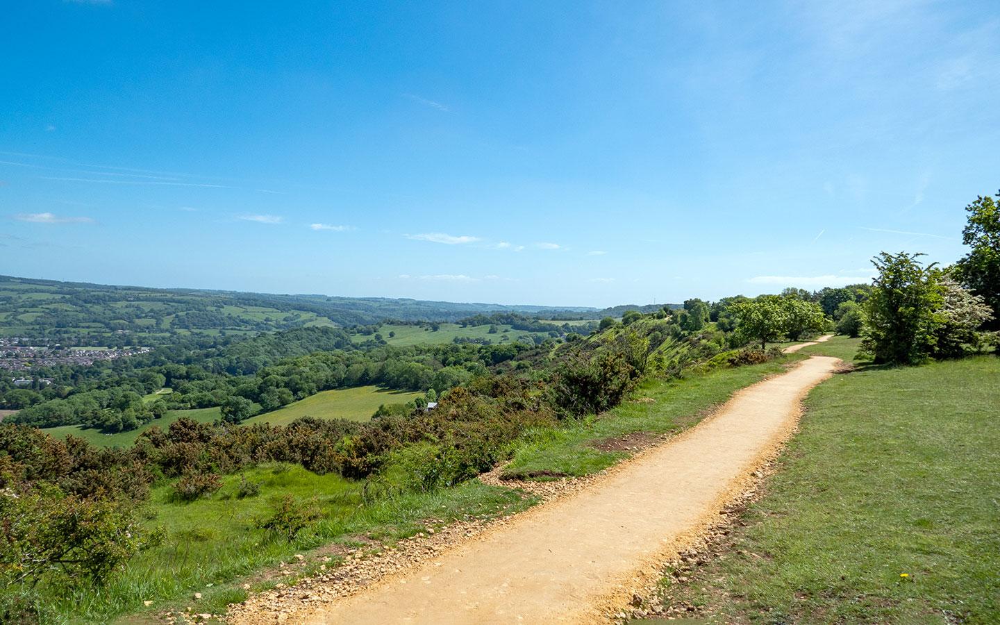 Leckhampton Hill.jfif