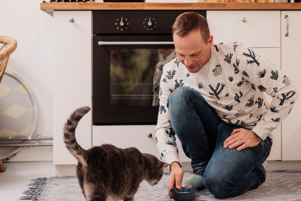 Renters’ Rights Act - What landlords should do now.png