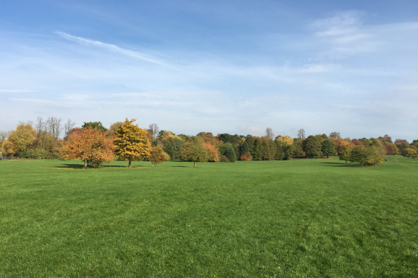 The best picnic spots in Oxford.png