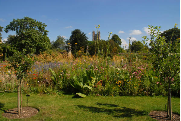 The best picnic spots in Oxford (2).png
