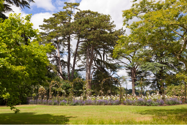 The best picnic spots in Oxford (3).png
