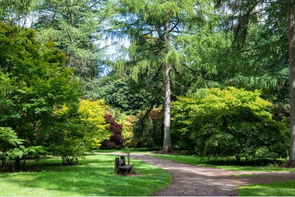 The best walks in Gloucestershire for sunny days.png