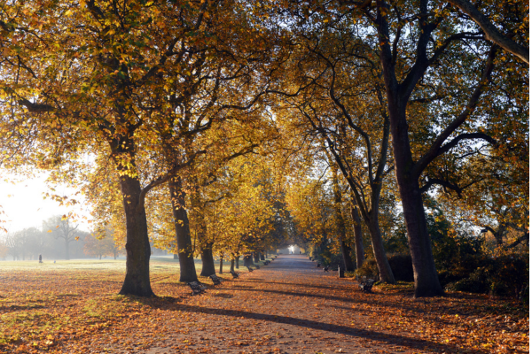 The best walks to do in London during autumn (2).png