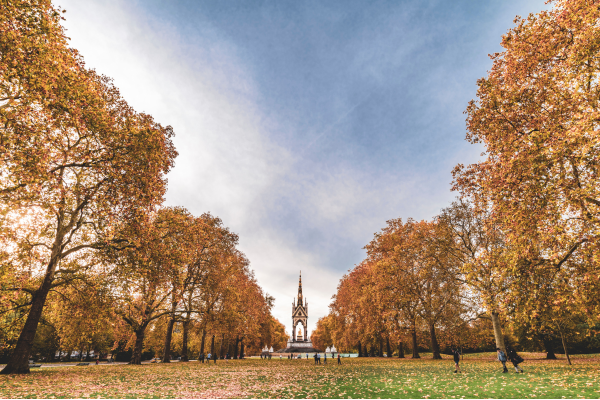 The best walks to do in London during autumn (3).png