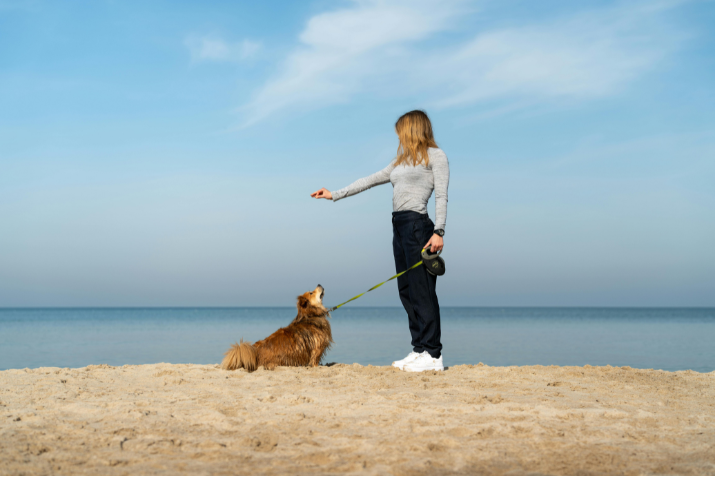 Top 5 things to look for in an area