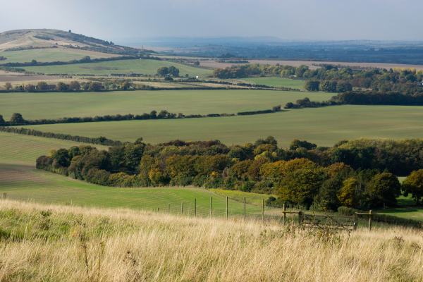 Why families are moving to Dunstable.png