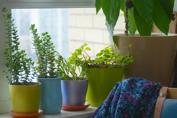 Plan your Spring rental refresh: Budget-friendly décor, maintenance, and gardening tips