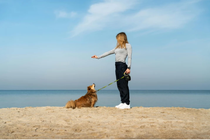 Top 5 things to look for in an area